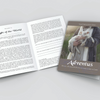 Digital PDF Version | Adventus: 25 Days, 25 Names & 25 Ways to Come Closer to Christ
