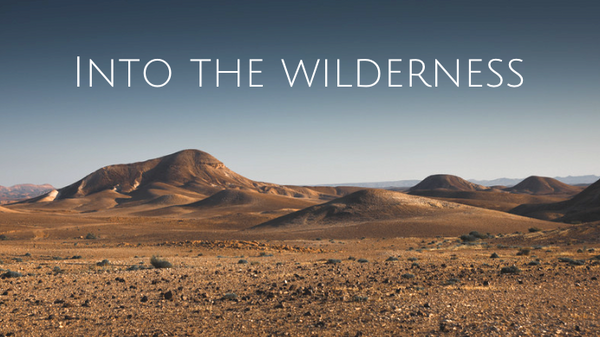 Into the Wilderness by Noelle McBride