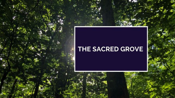 The Sacred Grove