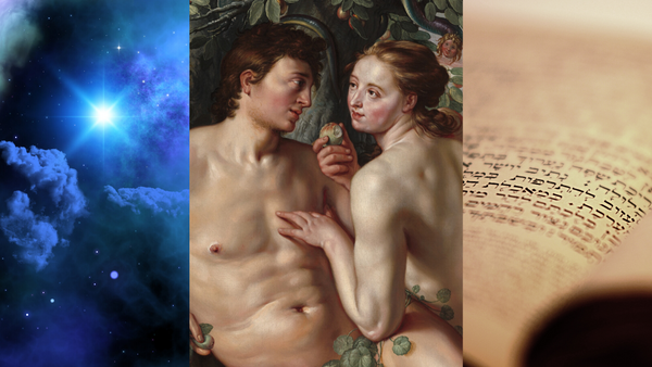 (THEORY) Adam was "The First Man" but NOT the FIRST Man on Earth