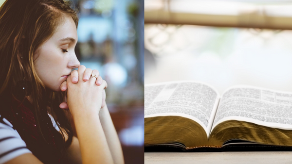 FIVE Scriptures from the Bible and Book of Mormon To Give You Hope and Patience