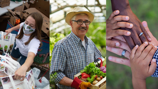 MIRACLE! 600 Families in Need are Fed Thanks to the Farmers Feeding Utah