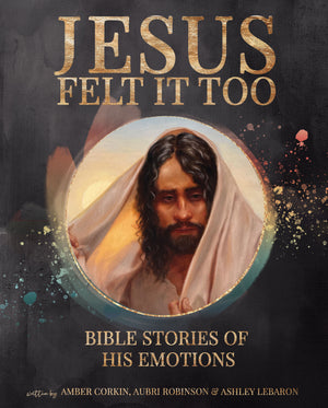 Jesus Felt It Too: Bible Stories of His Emotions