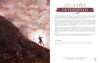 Jesus Felt It Too: Bible Stories of His Emotions