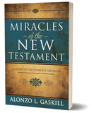 Miracles of the New Testament : A Guide to the Symbolic Messages (Paperback)