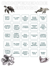 Free Conference Bingo (Adult Version - Downloadable)