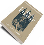 Finding Christ in the Temple