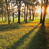 Joseph Smith: Praise to the Man