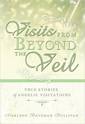 Visits from Beyond the Veil: True Stories of Angelic Visitations