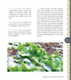 Backyard Winter Gardening: Vegetables Fresh and Simple, in Any Climate Without Artificial Heat or Electricity the Way It's Been Done for 2,000 Years - Cedar Fort Publishing & Media