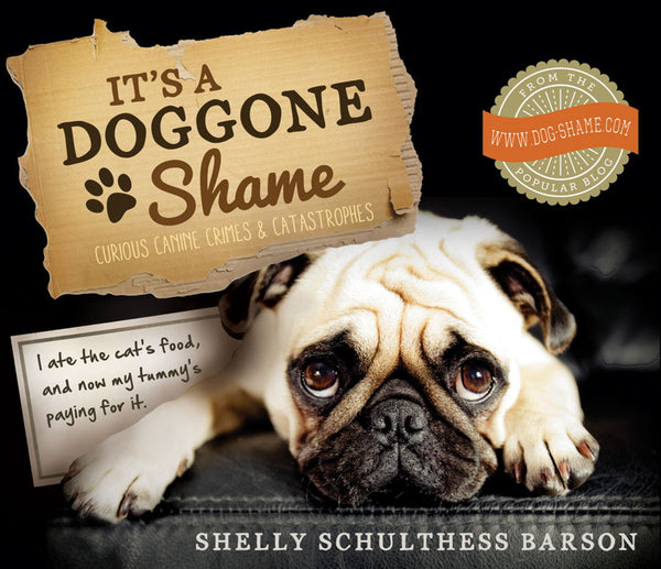 It's a Doggone Shame - Cedar Fort Publishing & Media