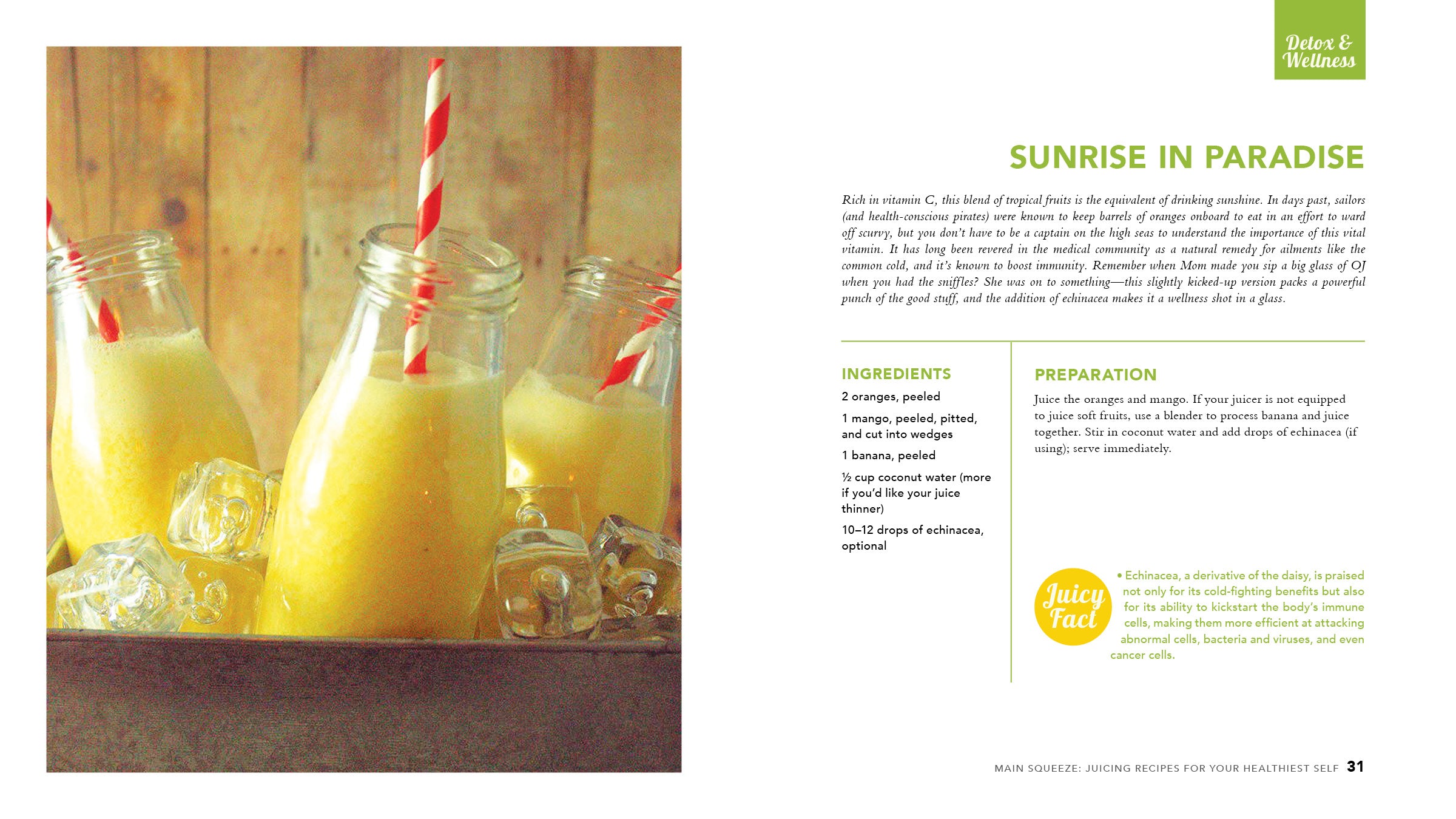 Main Squeeze: Juicing Recipes for Your Healthiest Self - Cedar Fort Publishing & Media