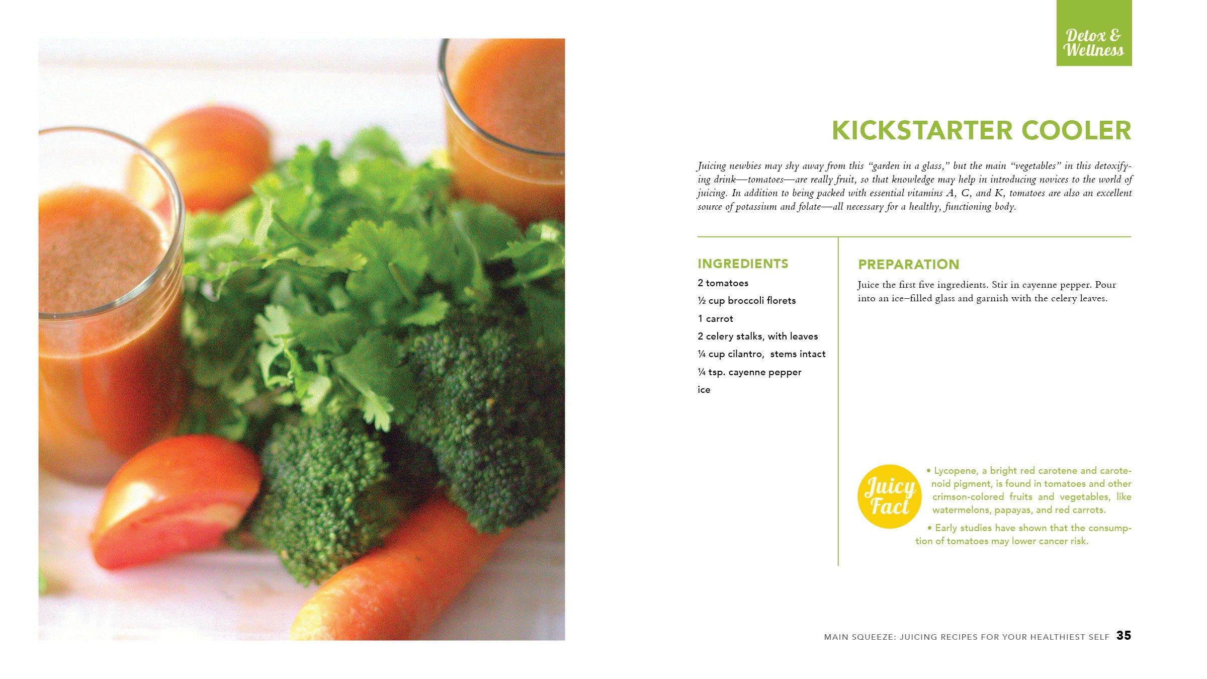 Main Squeeze: Juicing Recipes for Your Healthiest Self - Cedar Fort Publishing & Media