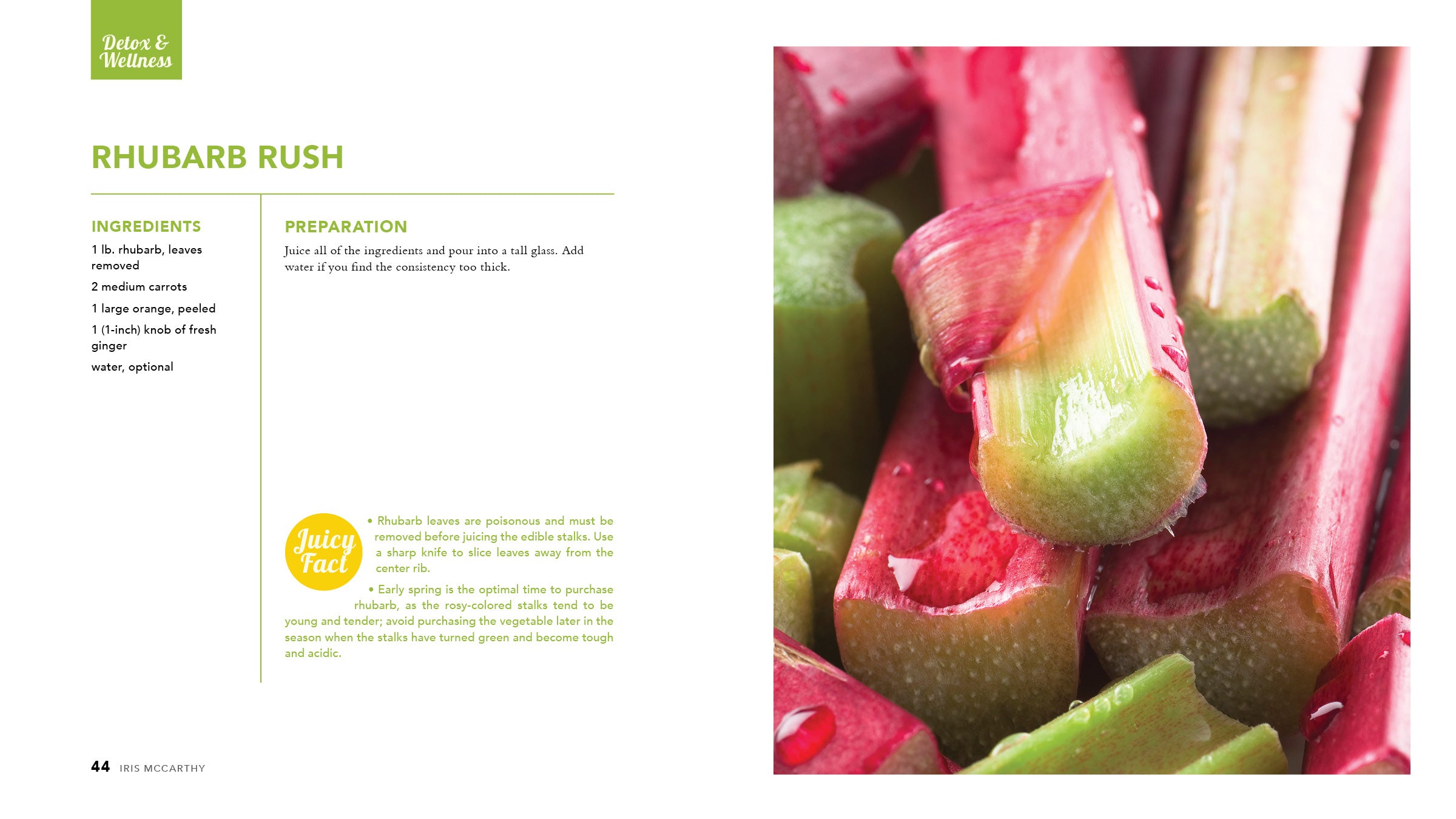 Main Squeeze: Juicing Recipes for Your Healthiest Self - Cedar Fort Publishing & Media