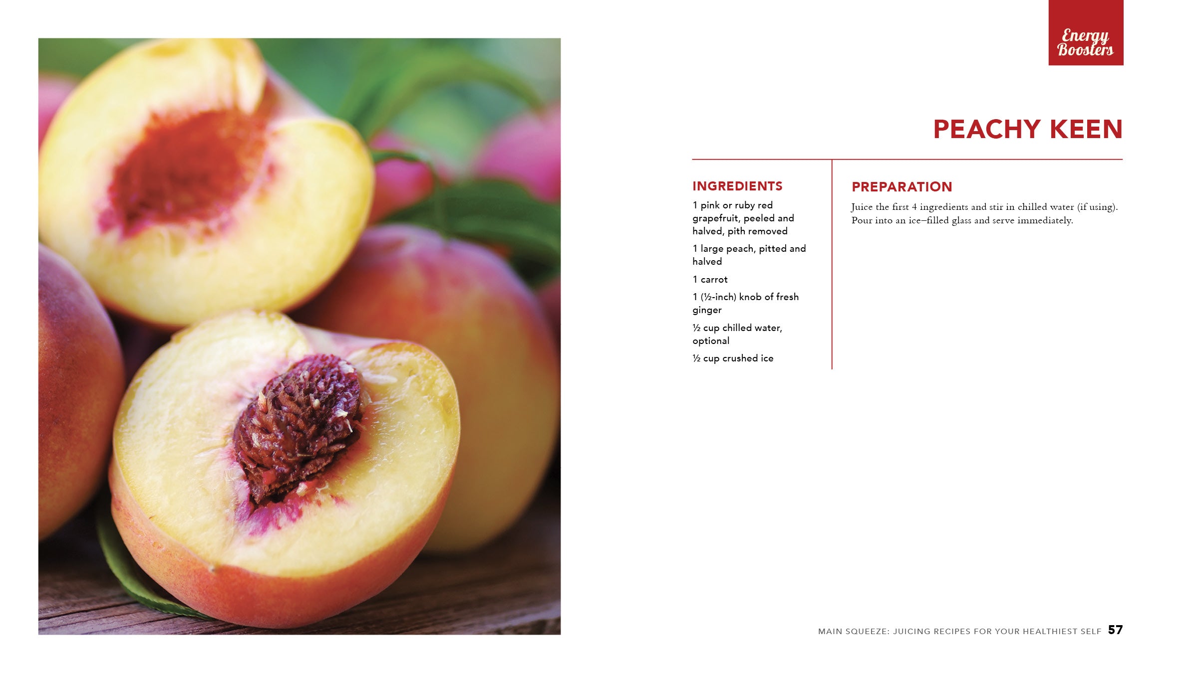 Main Squeeze: Juicing Recipes for Your Healthiest Self - Cedar Fort Publishing & Media