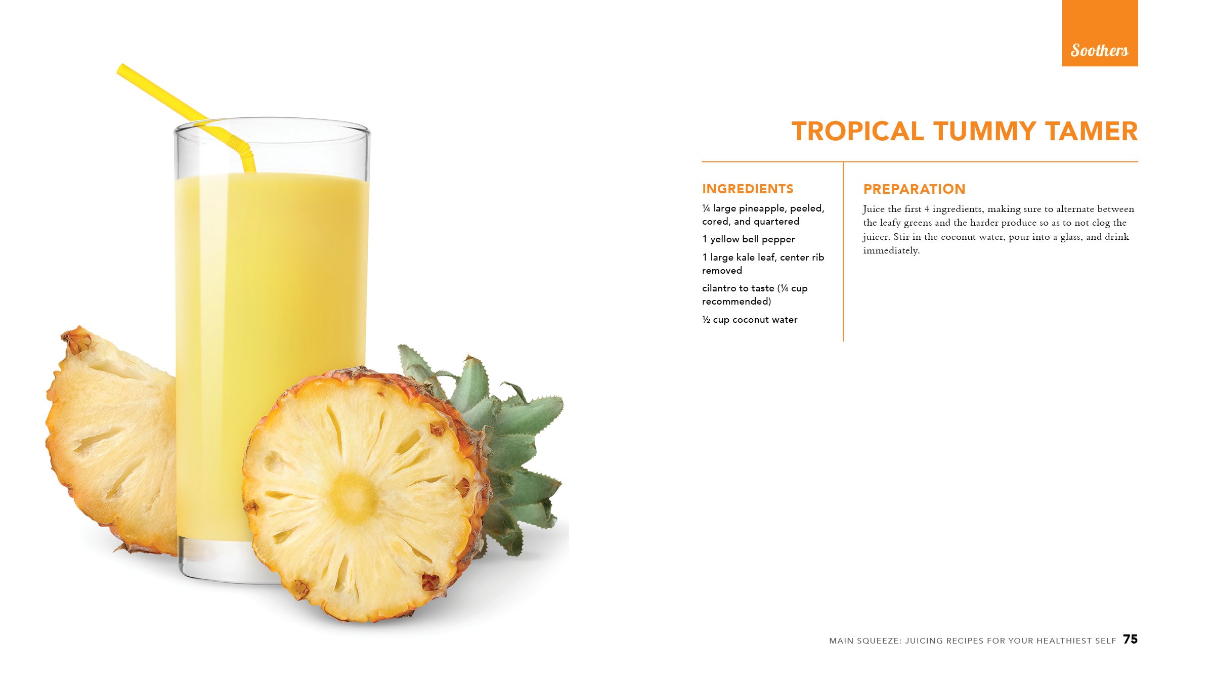 Main Squeeze: Juicing Recipes for Your Healthiest Self - Cedar Fort Publishing & Media