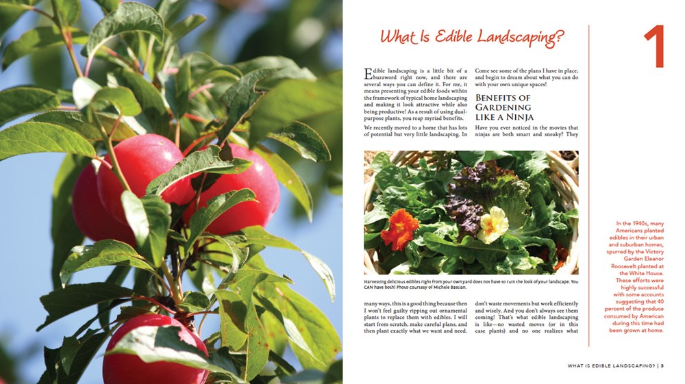 Gardening Like a Ninja: A Guide to Sneaking Delicious Edibles into Your Landscape - Cedar Fort Publishing & Media