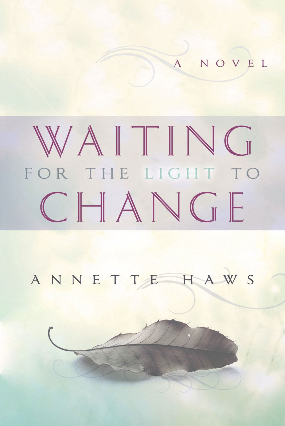 Waiting for the Light to Change - Cedar Fort Publishing & Media