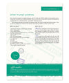 Ally's Kitchen: A Passport for Adventurous Palates - Cedar Fort Publishing & Media