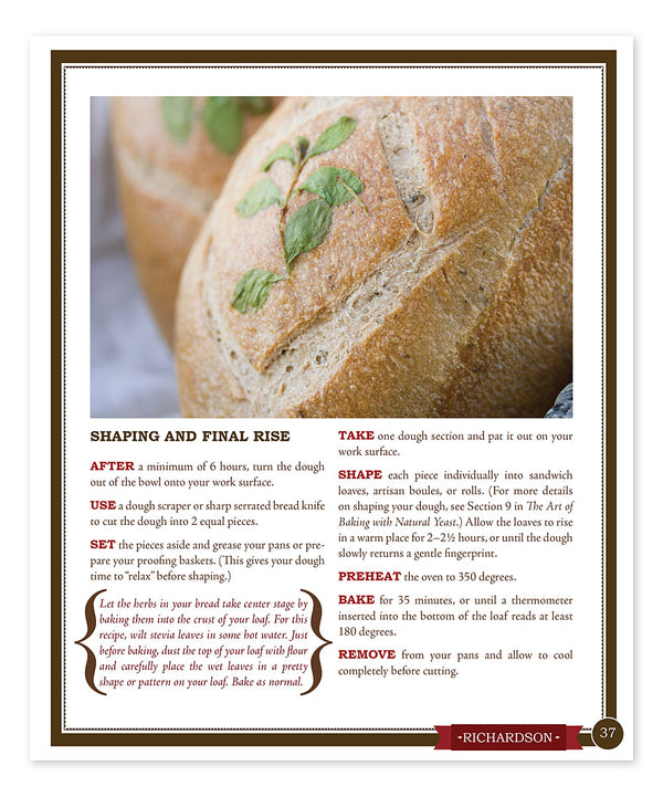 Beyond Basics With Natural Yeast (Paperback) - Cedar Fort Publishing & Media