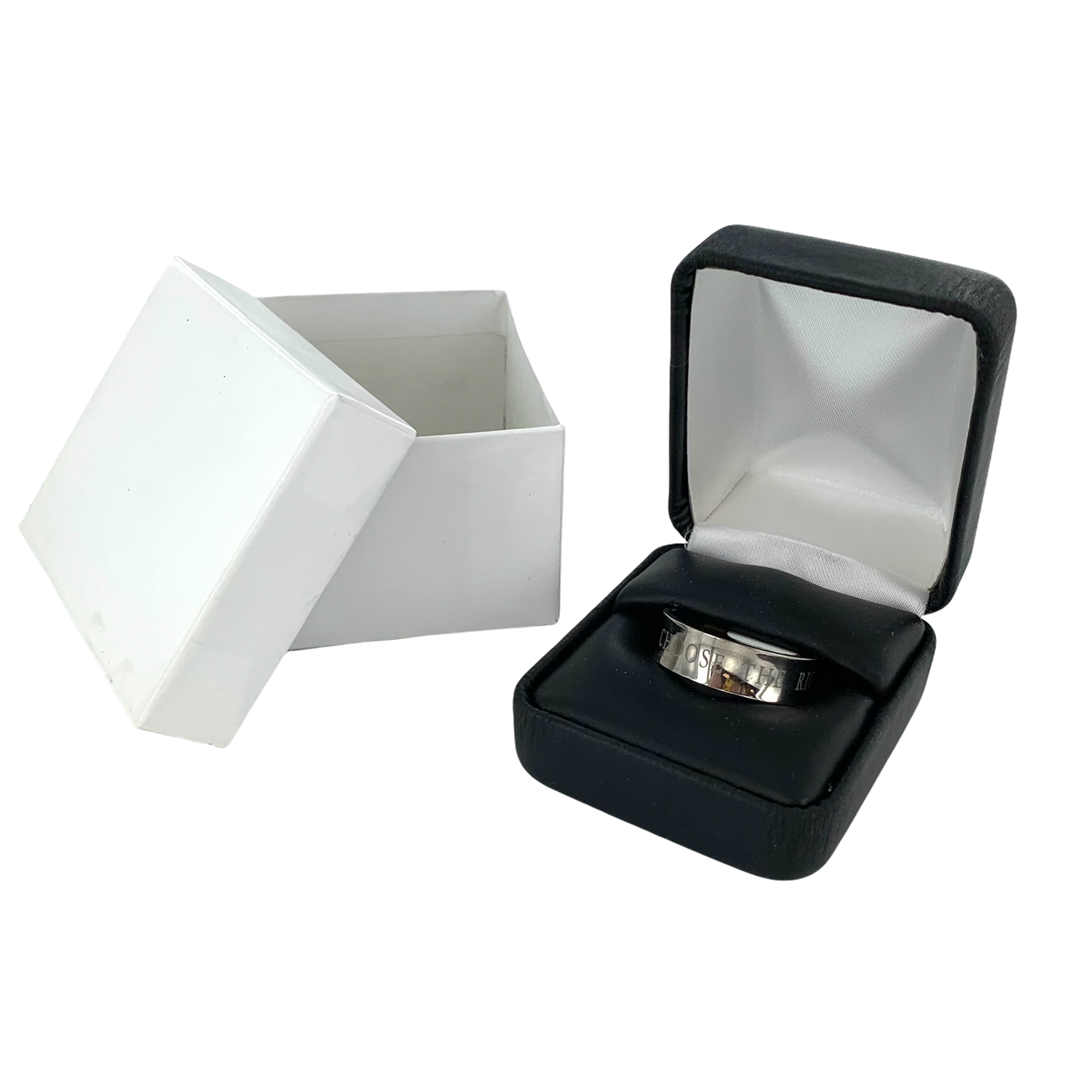 Titanium Surge Choose The Right- Ring