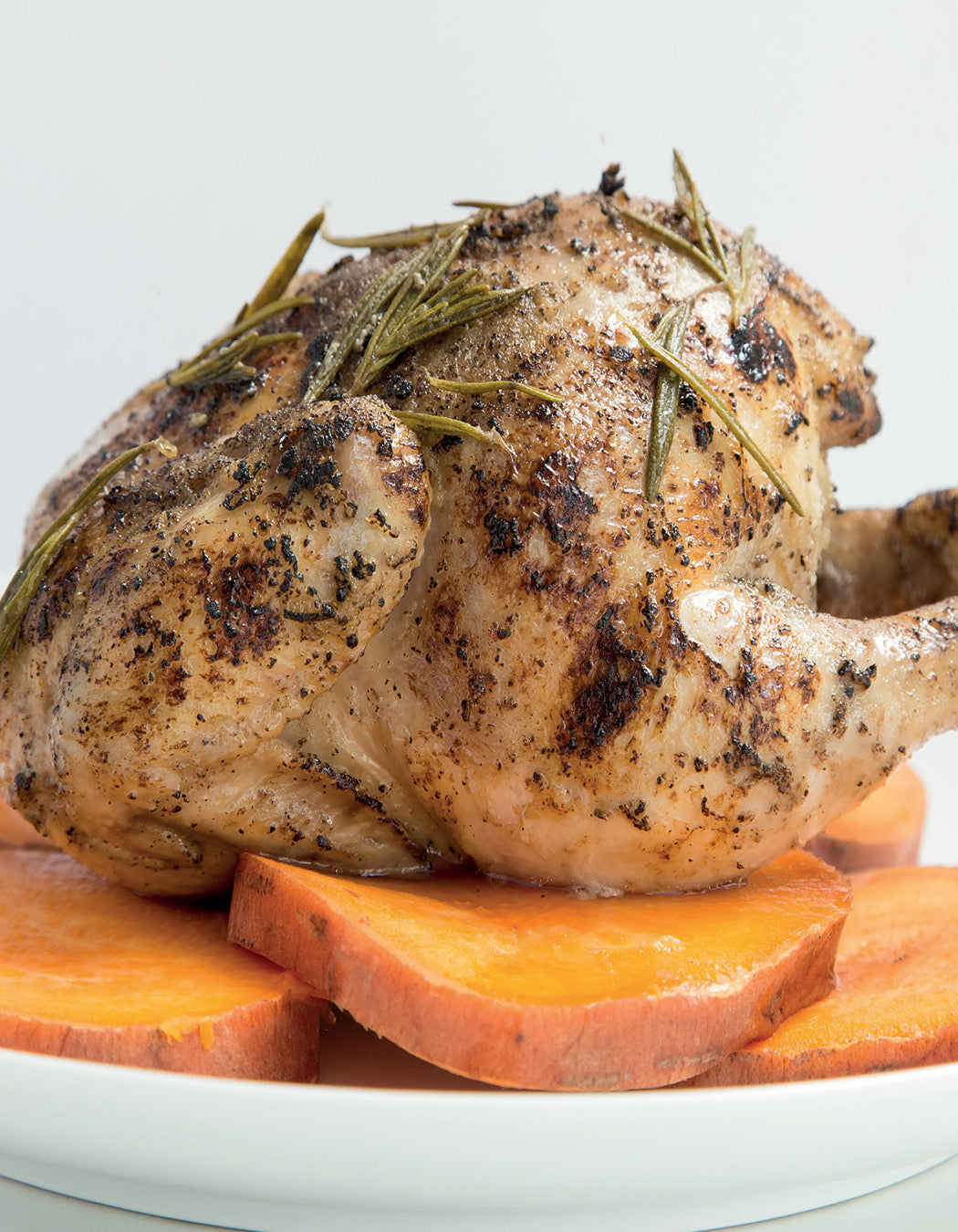 Sous Vide Cooking with Sansaire: Recipes for Unmatched Flavor - Cedar Fort Publishing & Media
