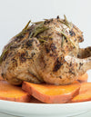 Sous Vide Cooking with Sansaire: Recipes for Unmatched Flavor - Cedar Fort Publishing & Media
