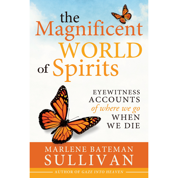 Magnificent World of Spirits, The: Eyewitness Accounts of Where We Go When We Die - Cedar Fort Publishing & Media