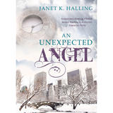 An Unexpected Angel - Finding Peace In a Different Perspective