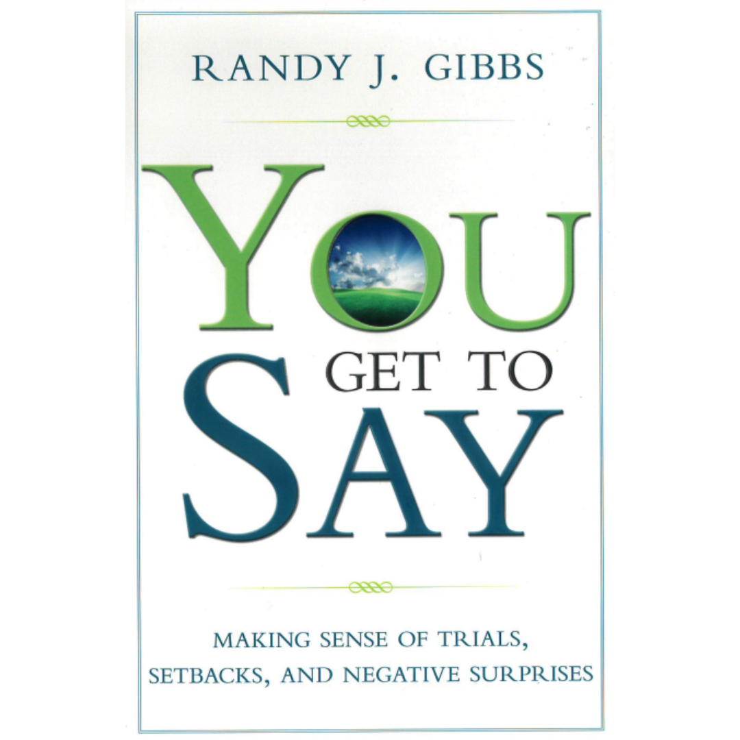 You Get to Say: Making Sense of Trials, Setbacks, and Negative Surprises - Cedar Fort Publishing & Media