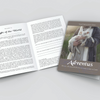 Adventus: 25 Days, 25 Names & 25 Ways to Come Closer to Christ