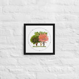 My Own Sacred Grove Spring Framed canvas