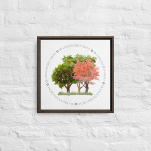 My Own Sacred Grove Spring Framed canvas