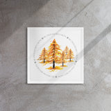 My Own Sacred Grove Fall Colors Framed canvas
