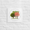My Own Sacred Grove Spring Framed canvas